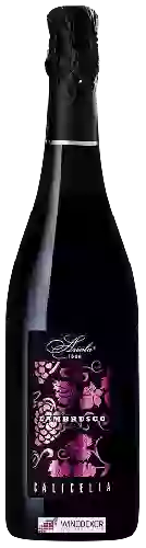 Domaine Ariola - Lambrusco Amabile Terre di Calicella