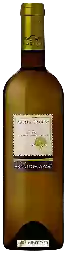 Domaine Arnaldo-Caprai - Anima Umbra Grechetto Umbria