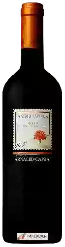 Domaine Arnaldo-Caprai - Anima Umbra Umbria