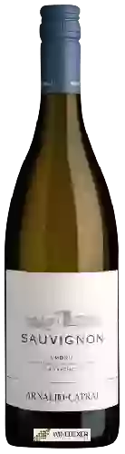 Domaine Arnaldo-Caprai - Sauvignon Umbria