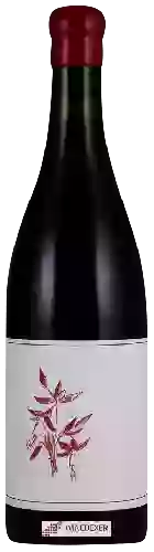 Domaine Arnot-Roberts - Coastlands Vineyard Pinot Noir