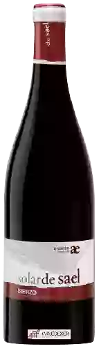 Domaine Arturo Garcia - Solar de Sael Crianza