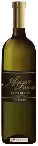 Domaine Ascevi Luwa - Grappoli Pinot Grigio