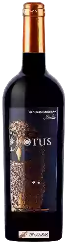 Domaine Asio Otus - Rosso