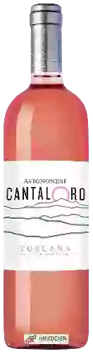 Domaine Avignonesi - Cantaloro Rosato