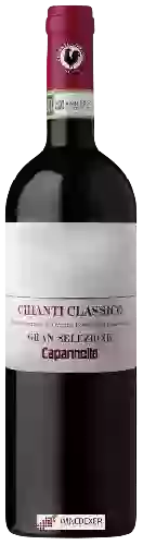 Domaine Capannelle - Chianti Classico Gran Selezione