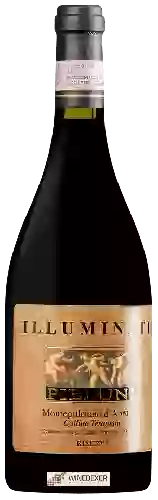 Domaine Illuminati - Pieluni Montepulciano d'Abruzzo Colline Teramane Riserva