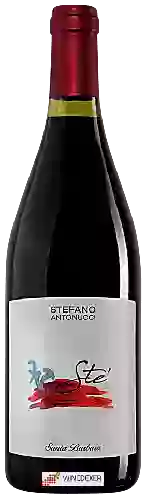 Domaine Azienda Santa Barbara - Stefano Antonucci - Sté Rosso Piceno