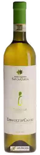 Domaine Azienda Vitivinicola Santa Clelia - Essenthia Erbaluce di Caluso