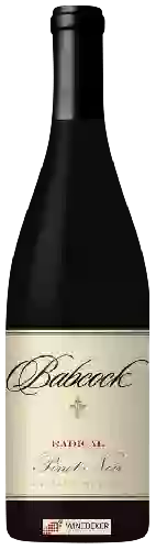 Domaine Babcock - Radical Pinot Noir