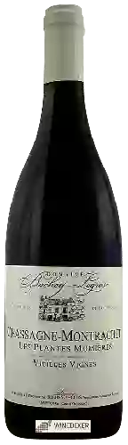 Domaine Bachey-Legros - Vieilles Vignes Chassagne-Montrachet 'Les Plantes Momières'