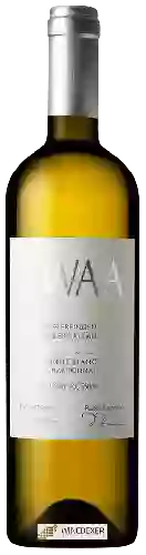 Domaine Bad Osterfingen - Zwaa Osterfingen Oberhallau Pinot Blanc - Chardonnay