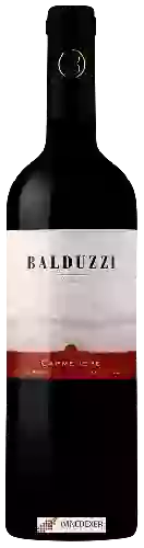 Domaine Balduzzi - Carmen&egravere