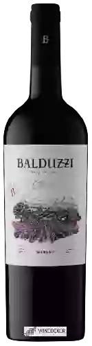 Domaine Balduzzi - Classic Merlot