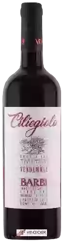 Domaine Barbi - Ciliegiolo