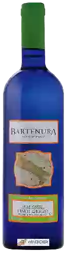 Domaine Bartenura - Pinot Grigio Provincia di Pavia