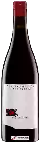 Domaine Judith Beck - Altenberg Blaufränkisch