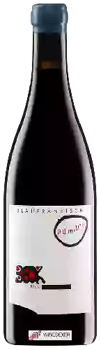 Domaine Judith Beck - Blaufränkisch Bambule!