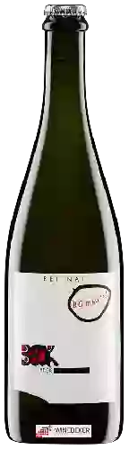 Domaine Judith Beck - Pet-Nat Bambule!