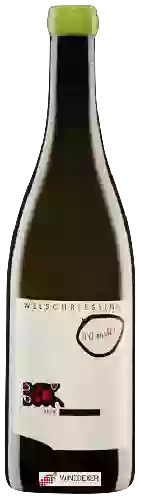 Domaine Judith Beck - Welschriesling Bambule!