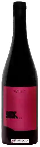 Domaine Judith Beck - Zweigelt