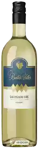 Domaine Belles Filles - Sauvignon Gris