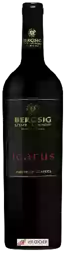 Domaine Bergsig Estate - Icarus Red