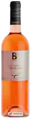 Domaine Bernavi - Ventuno Rosato