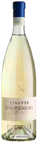 Domaine Bertani - Velante Pinot Grigio