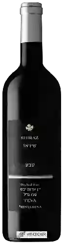 Domaine Binyamina - Teva Shiraz ( שיראז )