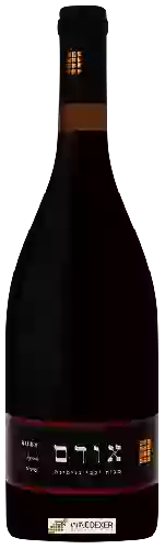 Domaine Binyamina - The Chosen Ruby Syrah ( אבני החושן  אודם יין אדום יבש )