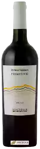 Domaine Bisceglia - Terra di Vulcano Primitivo