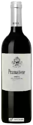 Domaine Azienda Agricola Bisi - Pramattone Croatina