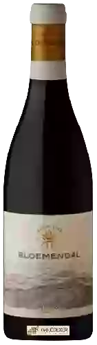 Domaine Bloemendal - Syrah