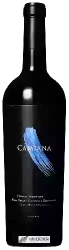 Domaine Blue Hall Vineyard - Camiana Cabernet Sauvignon