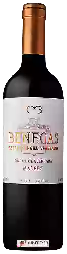 Domaine Benegas