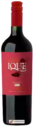 Domaine Enrique Foster - Ique Malbec