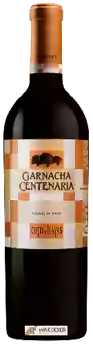 Bodegas Aragonesas - Coto de Hayas Garnacha Centenaria