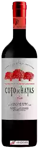 Bodegas Aragonesas - Coto de Hayas Tempranillo - Cabernet Sauvignon Roble