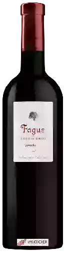 Bodegas Aragonesas - Fagus de Coto de Hayas Garnacha