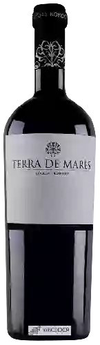 Bodegas Bordoy - Terra de Marès