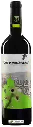 Bodegas Campoameno - Syrah Barrica