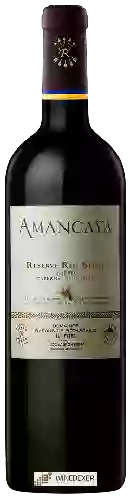 Domaine Caro (Catena and Rothschild) - Amancaya Reserve Red Blend