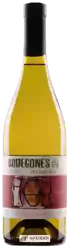 Domaine Bodegones del Sur - Vineyard Select Viognier