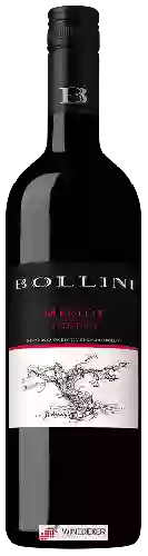 Domaine Bollini - Merlot Trentino