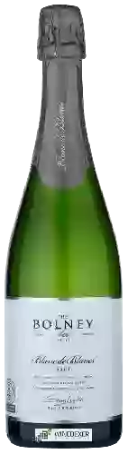 Domaine Bolney Wine Estate - Blanc de Blancs Brut