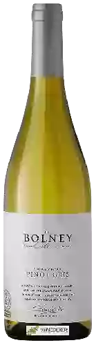 Domaine Bolney Wine Estate - Foxhole Vineyard Pinot Gris