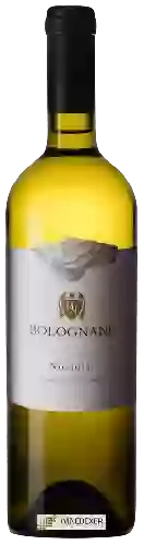 Domaine Bolognani - Nosiola