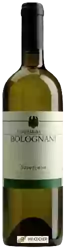 Domaine Bolognani - Sauvignon
