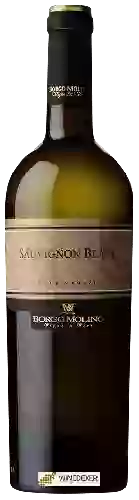 Domaine Borgo Molino - Sauvignon Blanc